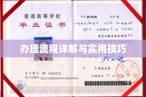 蓬莱办理流程详解与实用技巧