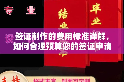岳麓签证制作的费用标准详解，如何合理预算您的签证申请成本